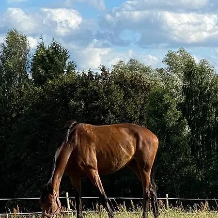 Maly Bialy Domek Pomiedzy Kaszubskimi Jeziorami * Kamień